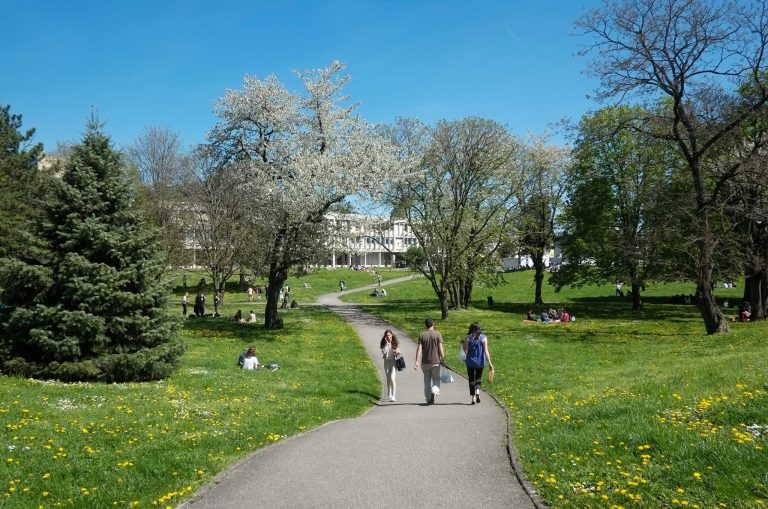 Two Scholarships, Université de Lyon, Deadline: 30/01/2026